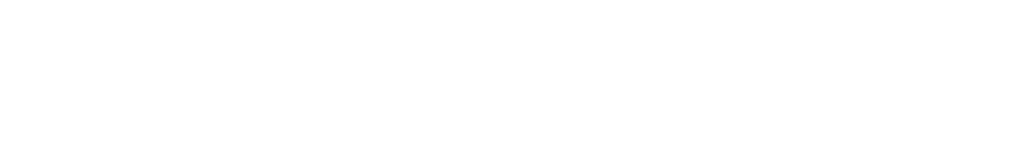 The Via Rail Group The Via Rail Group